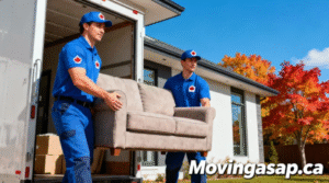 Where can I find the best house movers in Canada?